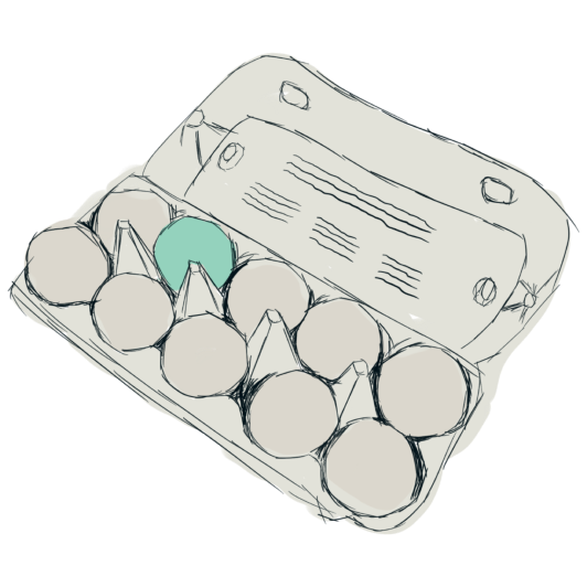 hand drawn egg carton
